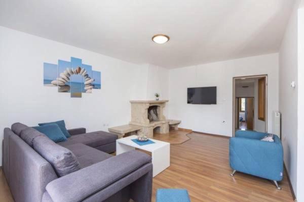 Apartments "Alen" Nedescina Екстер'єр фото